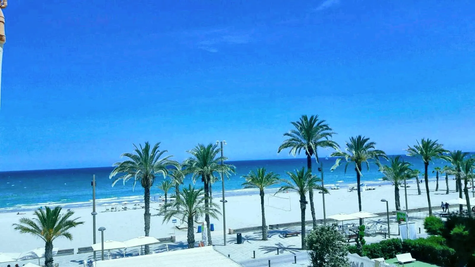 Vistas a la arena, las palmeras y el mar desde el apartamento